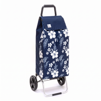 Chariot de course - Carlux