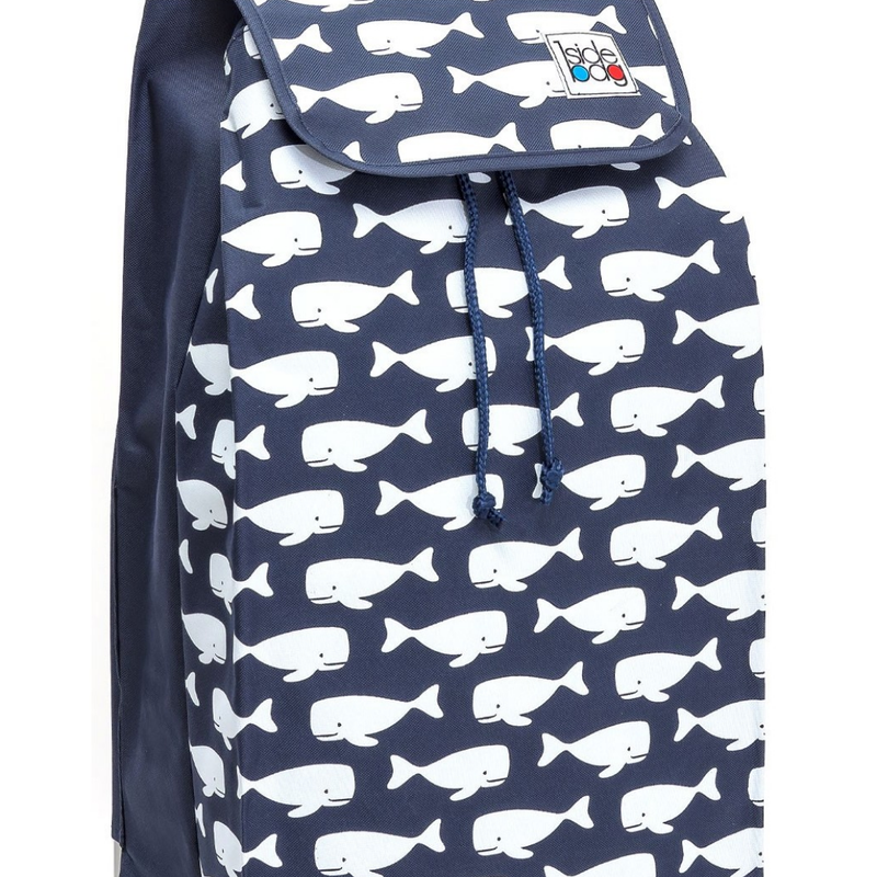 No isotérmico / Ballena 55L / 2 ruedas