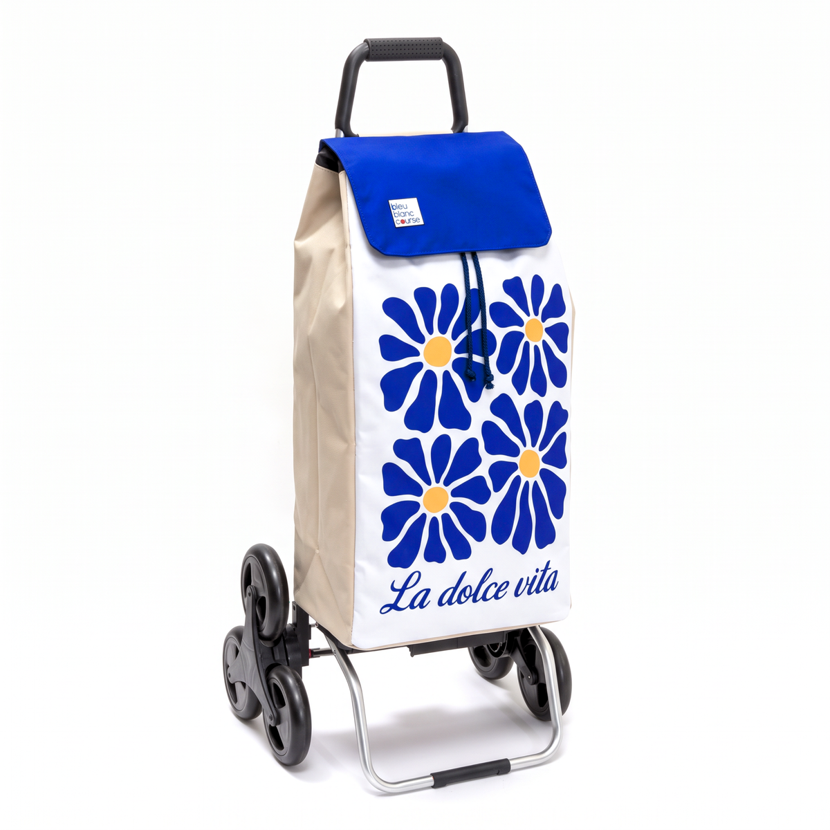 Chariot de course - Carlux