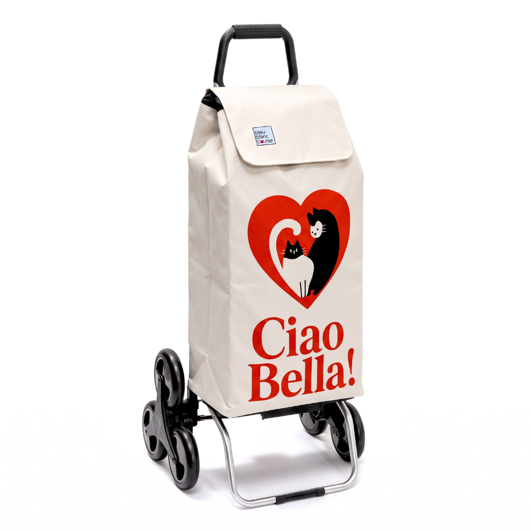 Chariot de course - Carlux